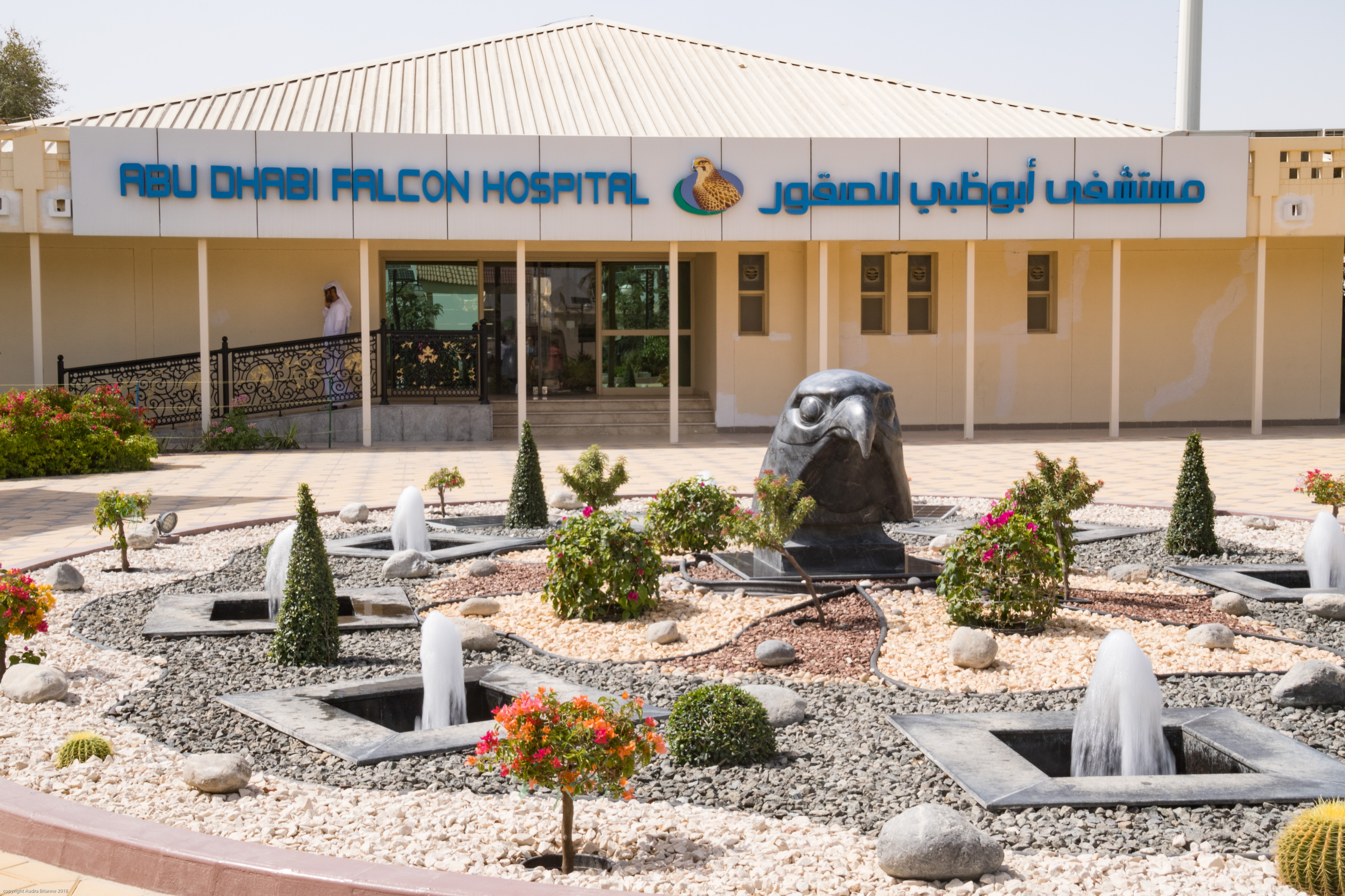 Abu Dhabi Falcon Hospital
