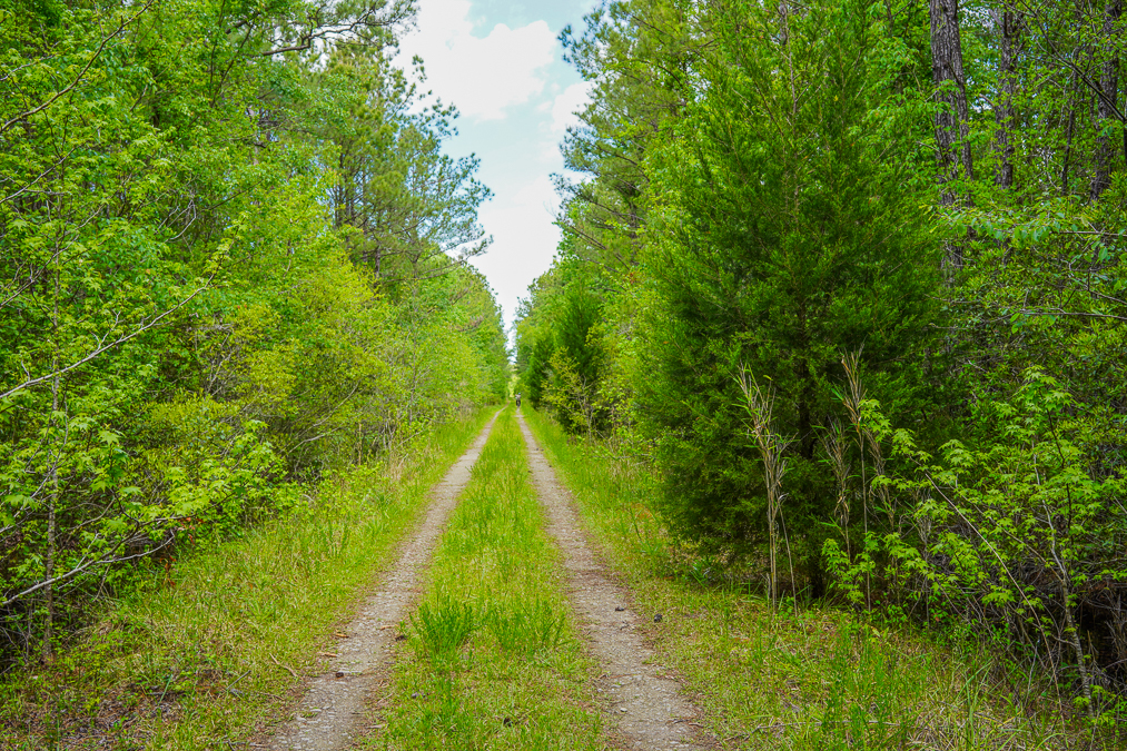 Awendaw Passage Palmetto Trail