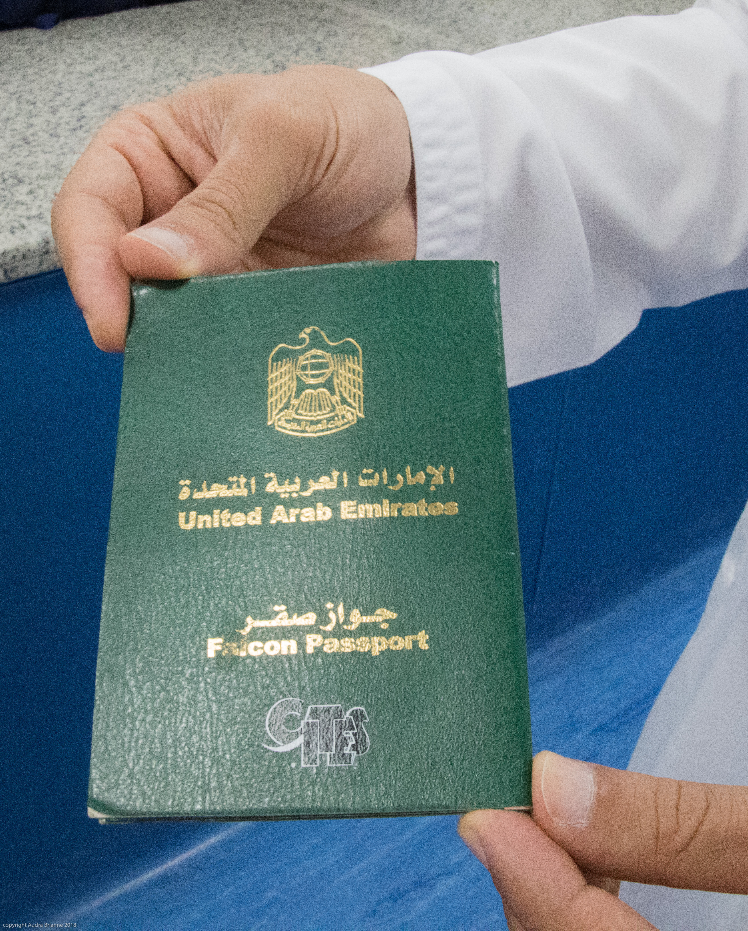 Abu Dhabi Falcon Hospital