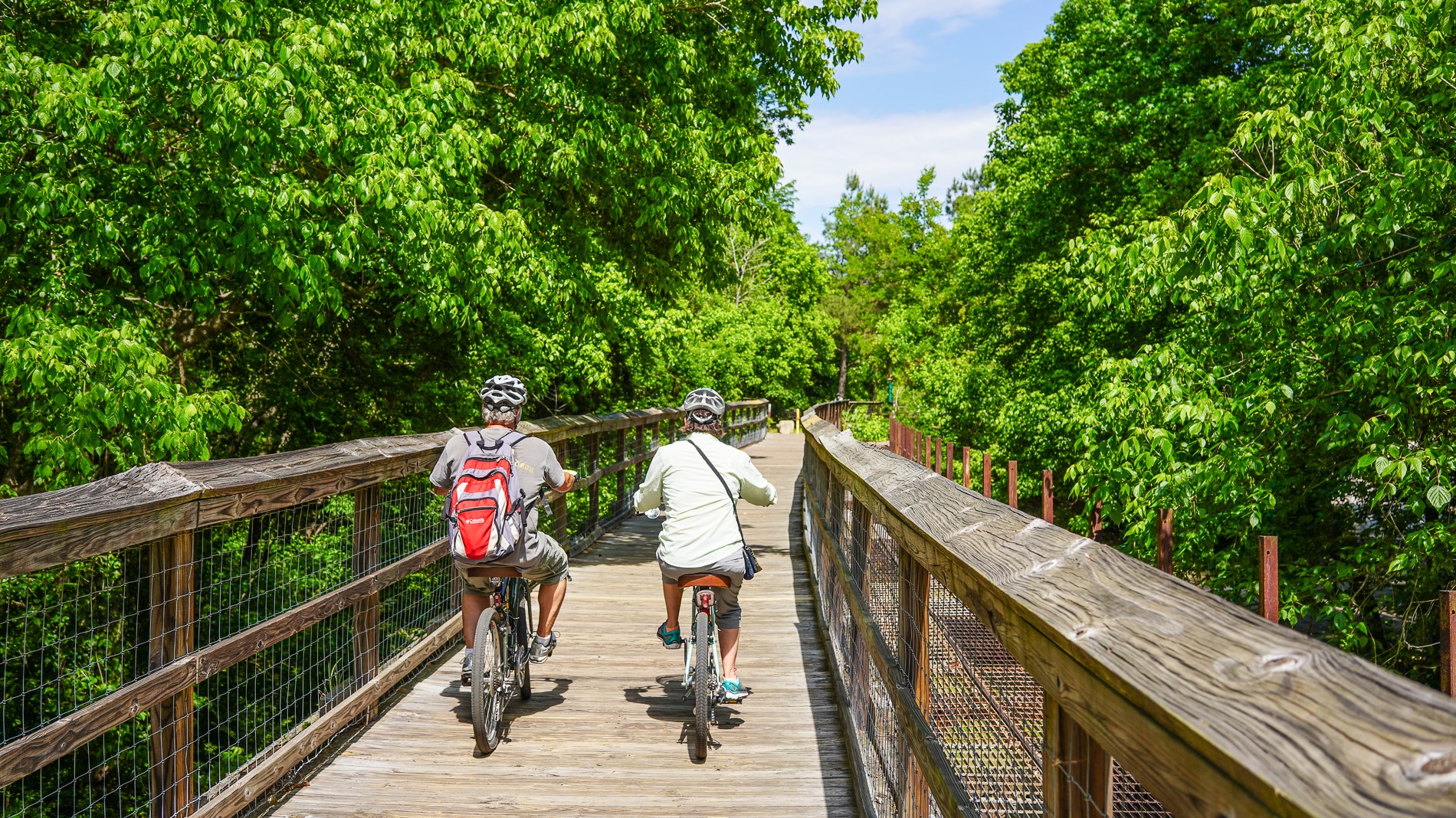 Palmetto Trail