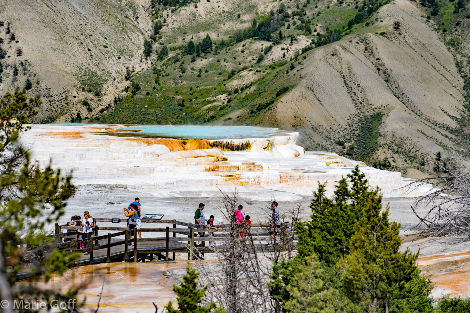 Montana-Out West with Patrick McMillan