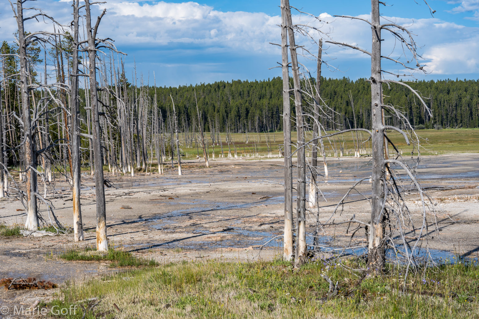 Montana-Out West with Patrick McMillan