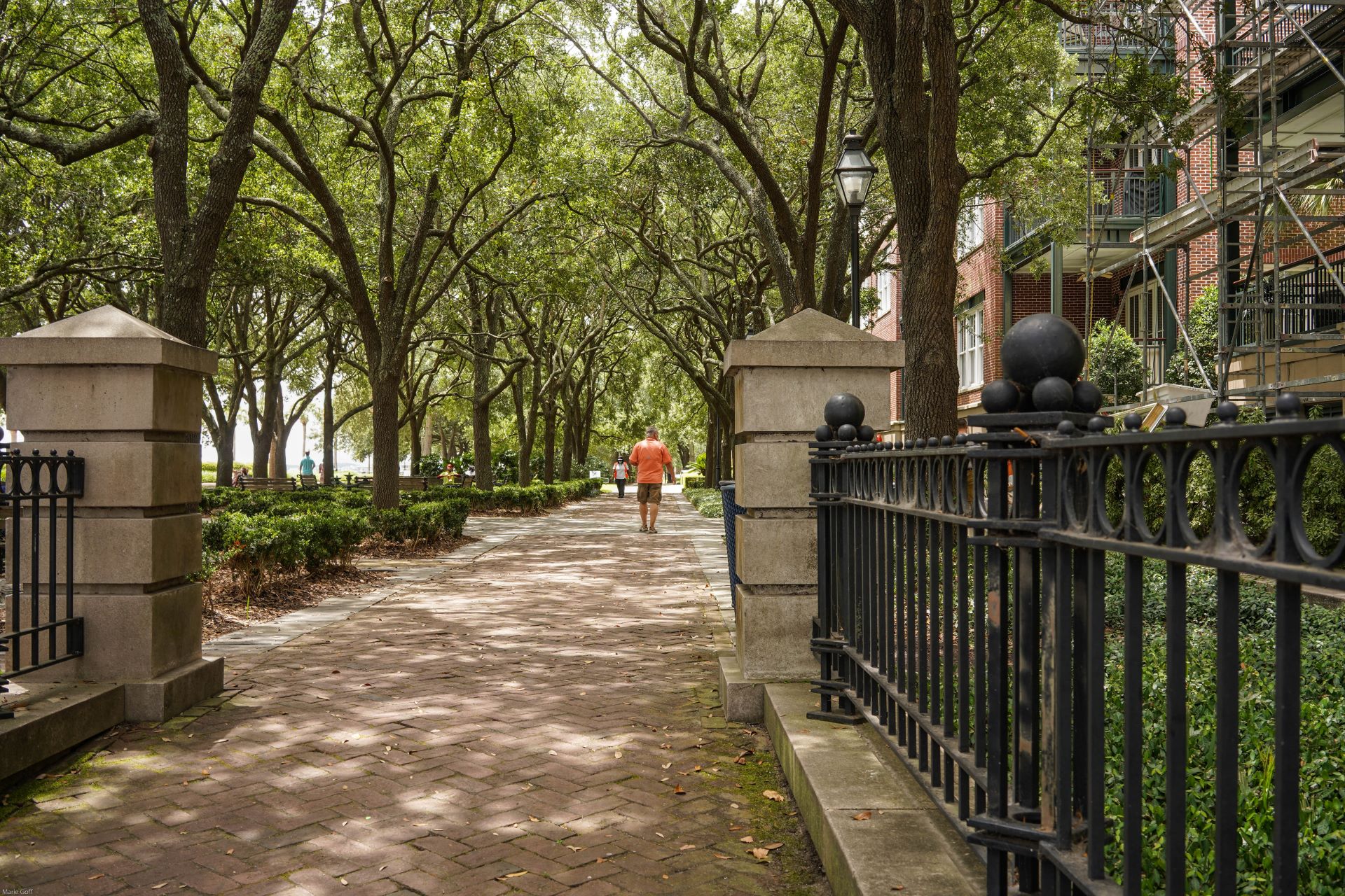 Waterfront Park Charleston Historic Charleston South Carolina