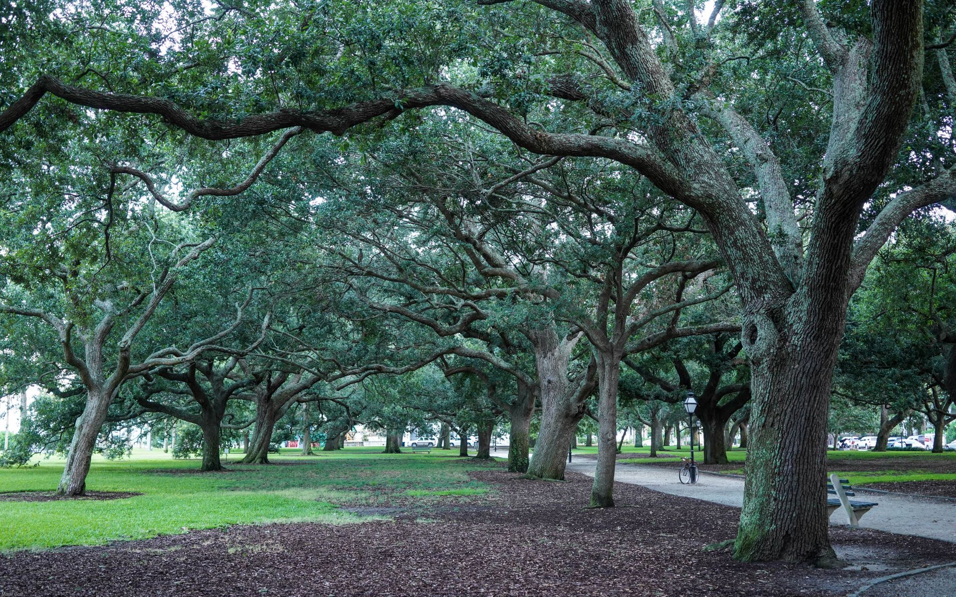 Historic Charleston at Battery Park