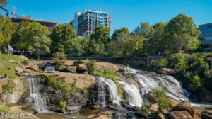 Discovering South Carolina