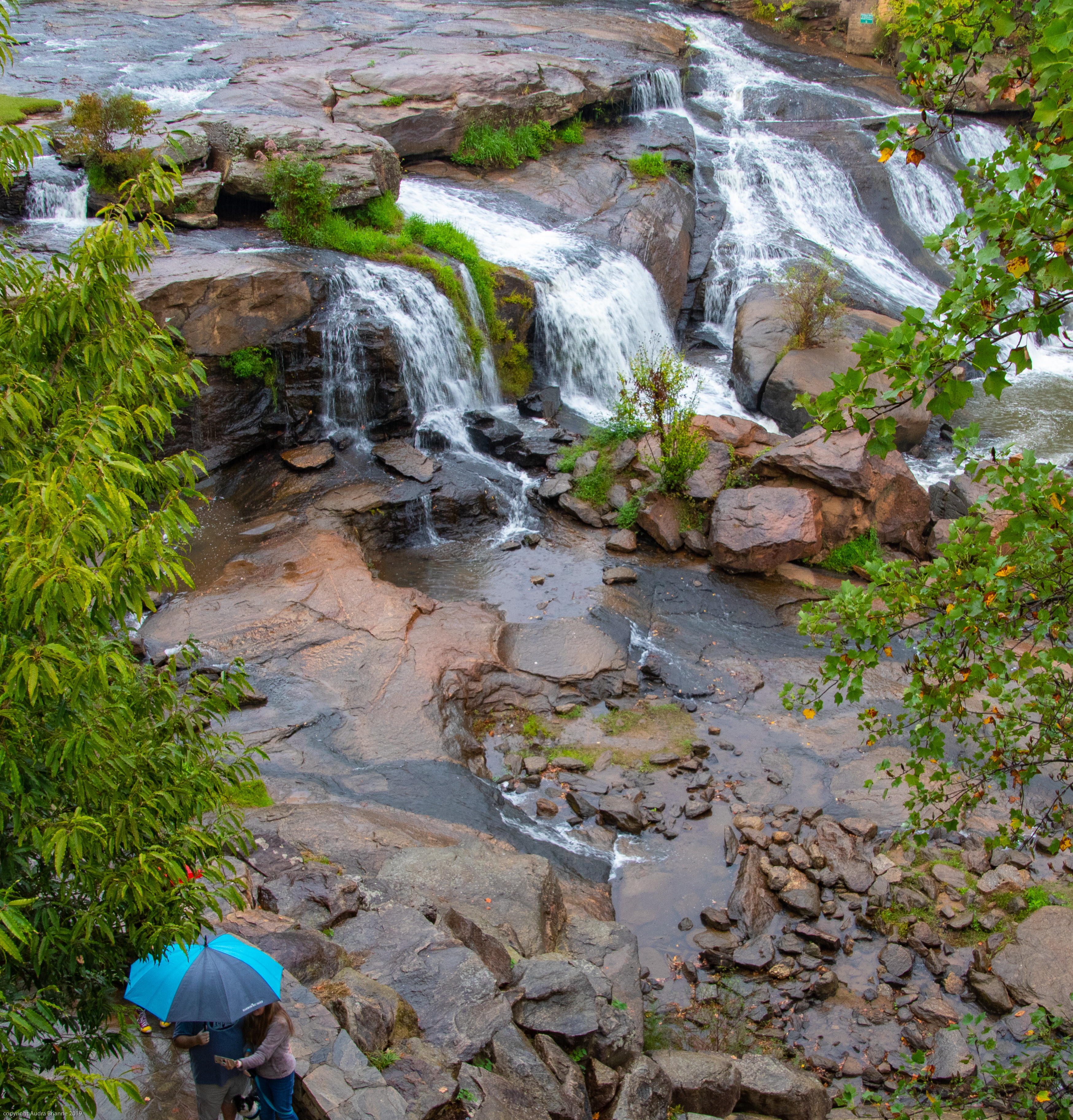 Falls Park on the Reedy River
