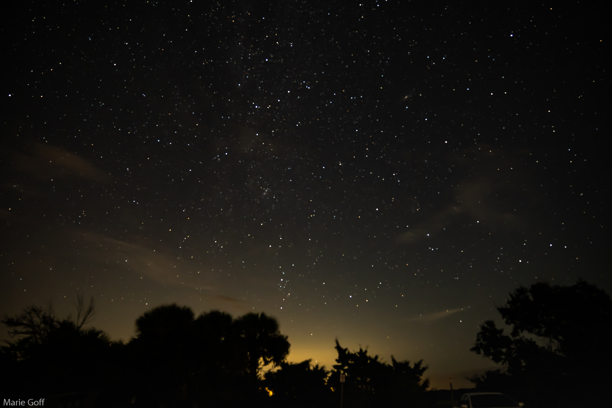 Star-lit night