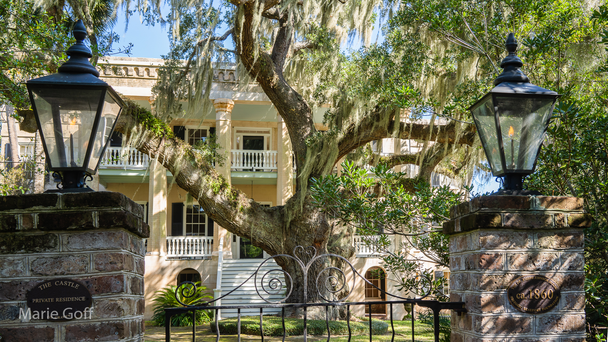 Lowcountry Photography Tour