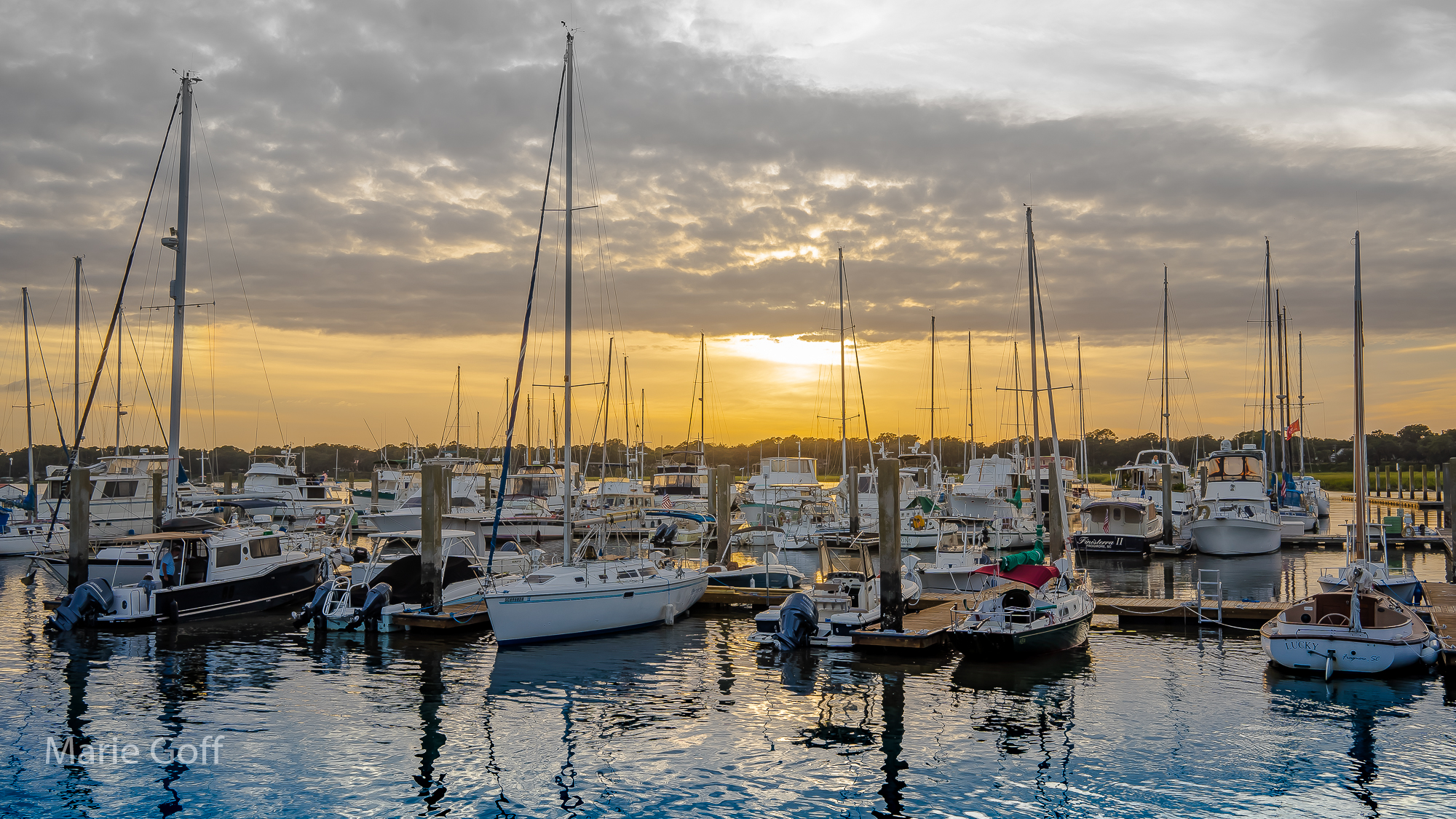 Lowcountry Photography Tour