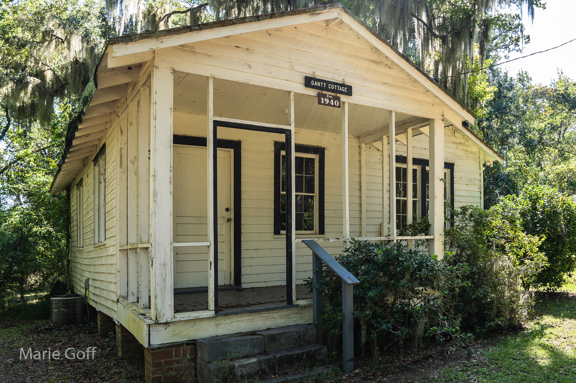 Lowcountry Photography Tour