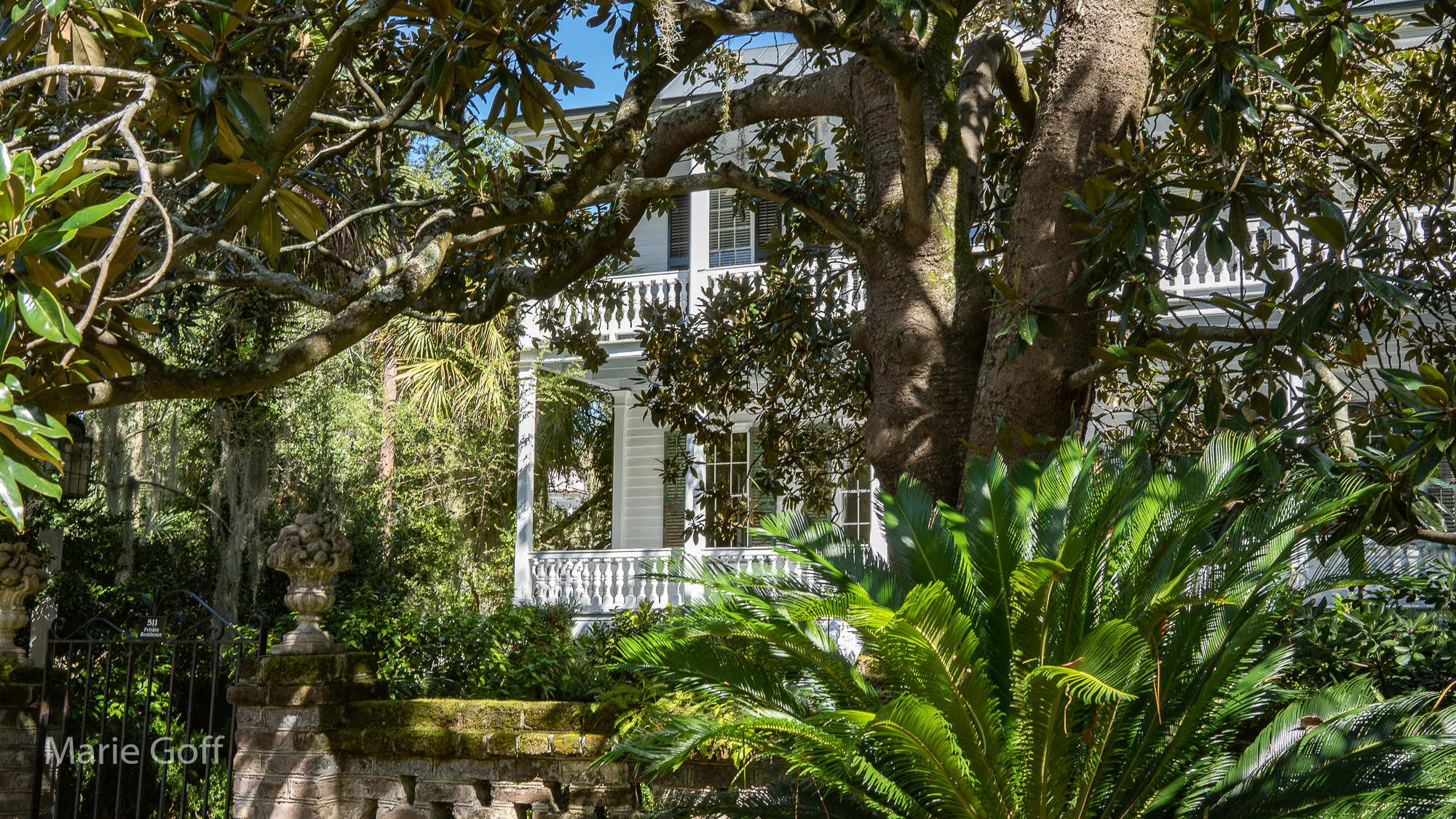 lowcountry photography