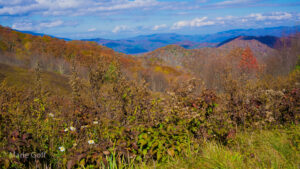 Views at Purchase Knob
