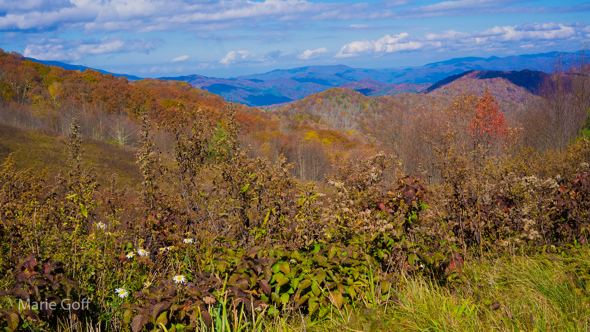 Views at Purchase Knob