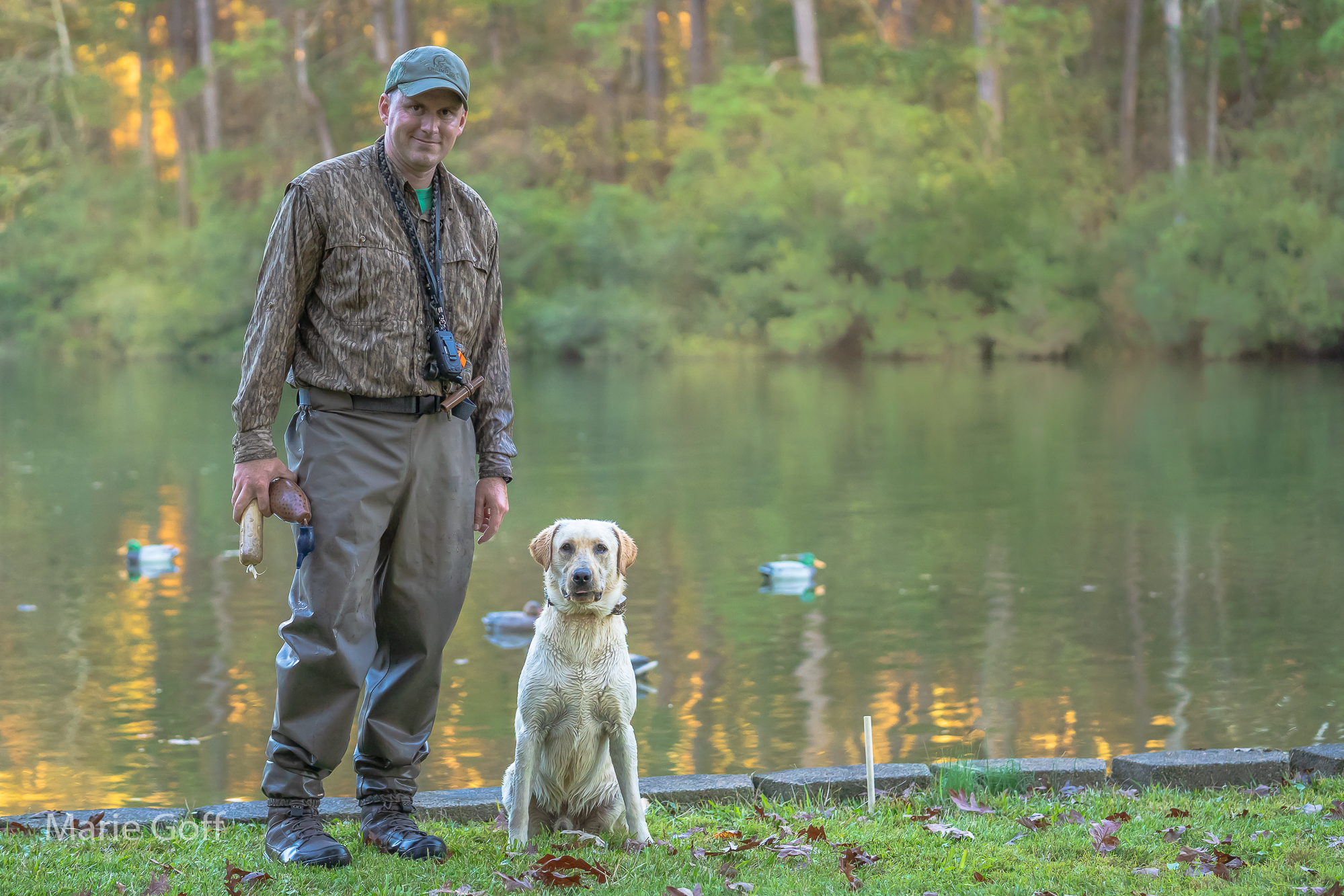 Labrador-Retrievier-Training