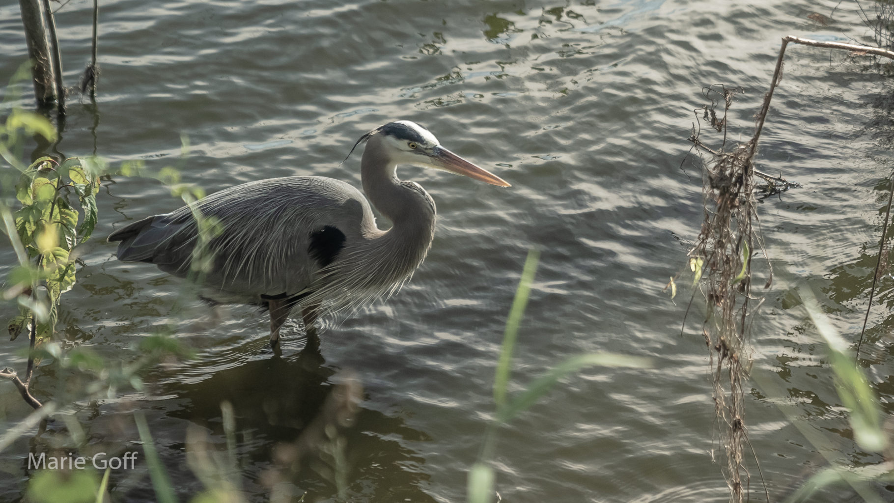 Tampa, Florida