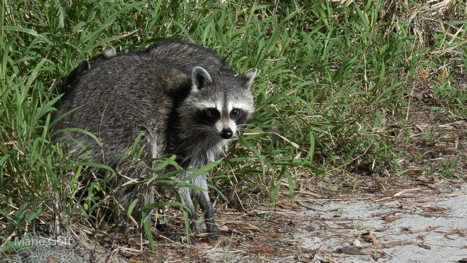 Tampa, Florida