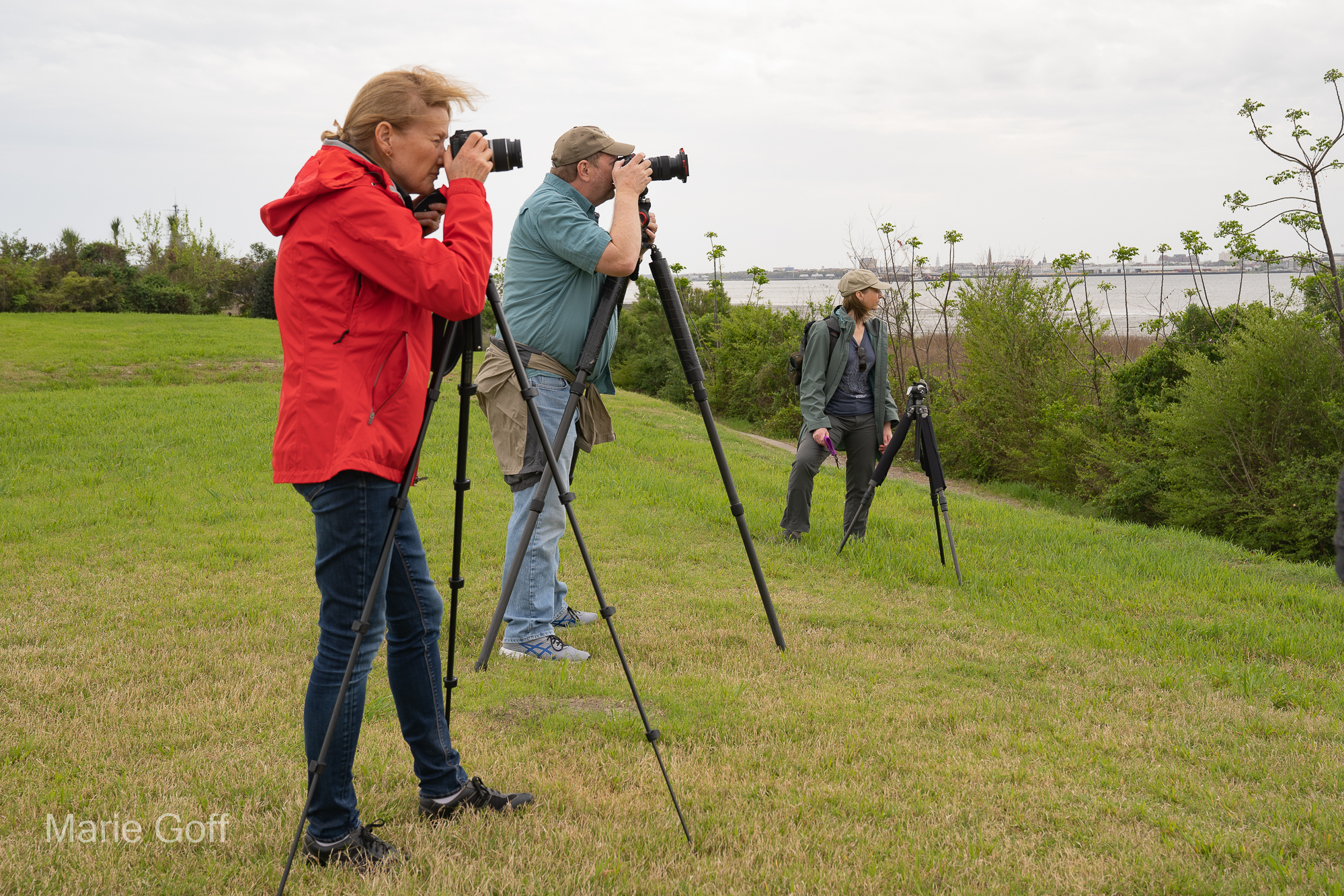 Photographers at work