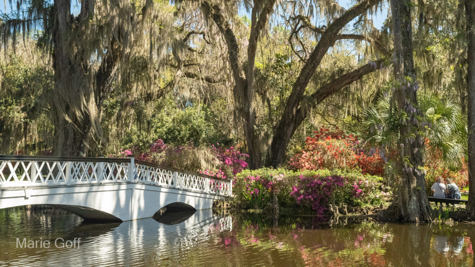 Charleston in the spring