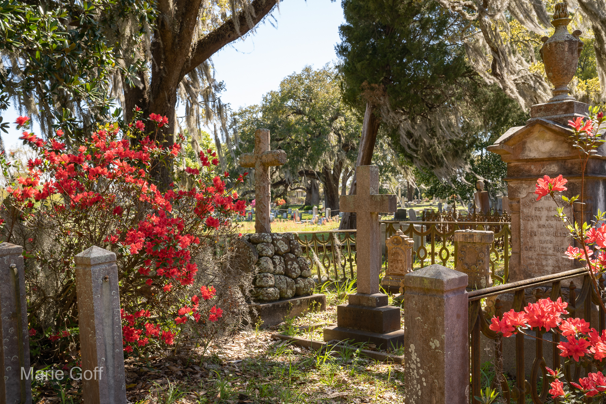 Charleston in the Spring