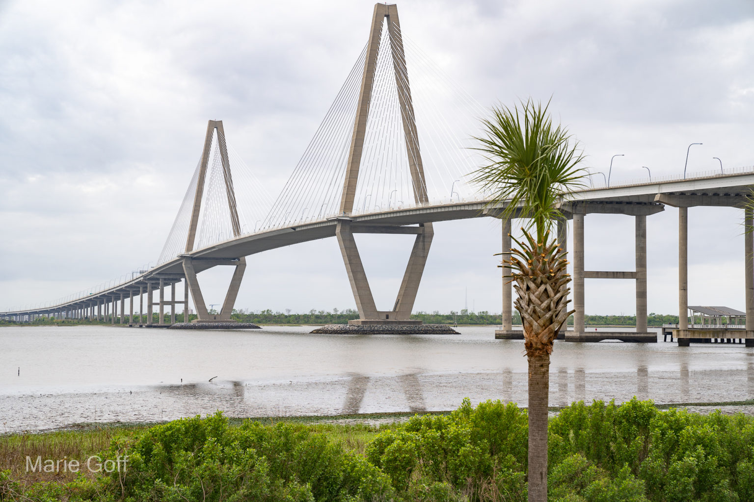 Charleston in the spring