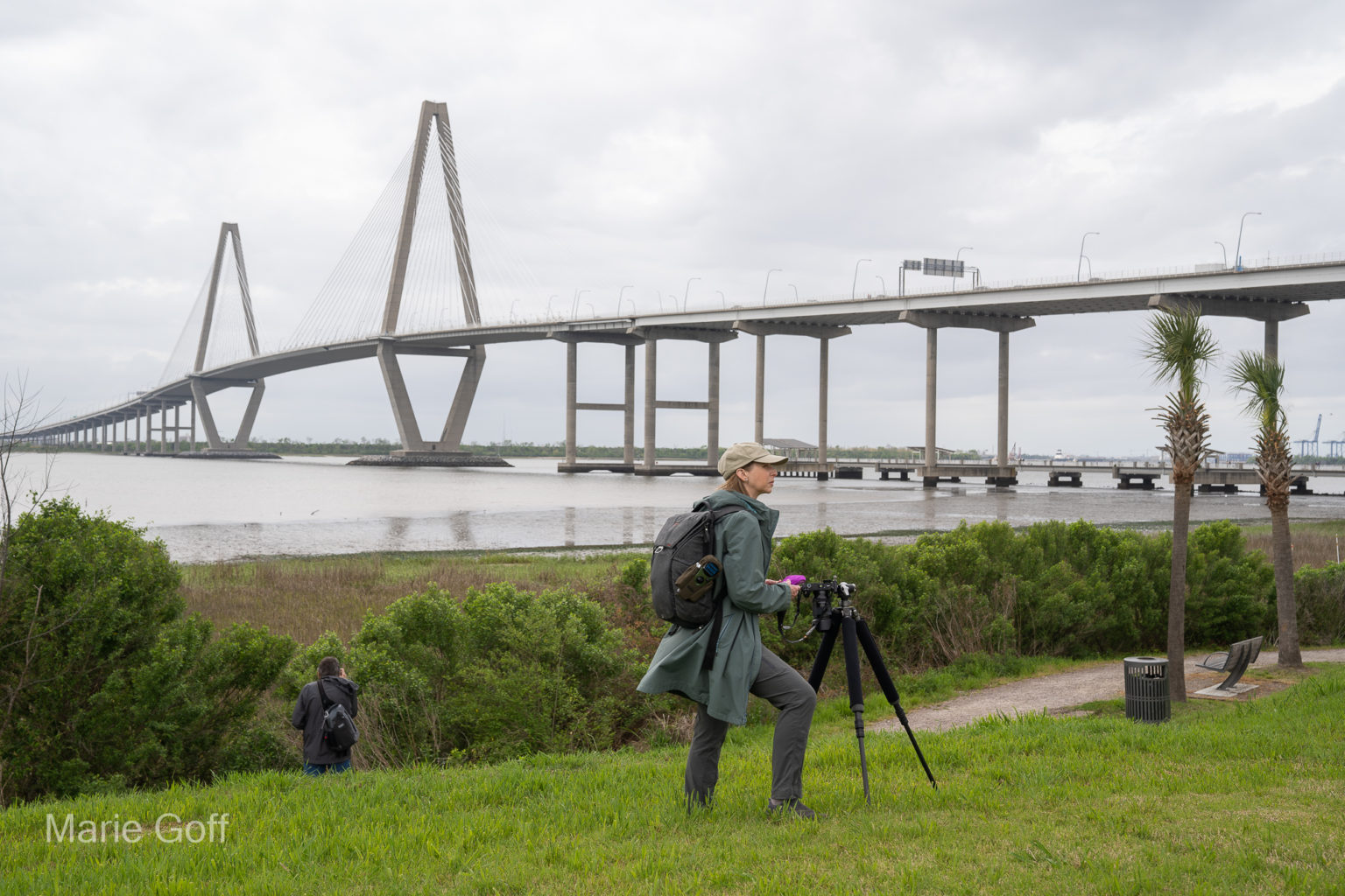 Charleston in the spring