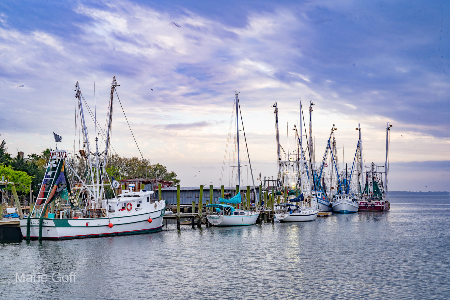 Charleston in the spring