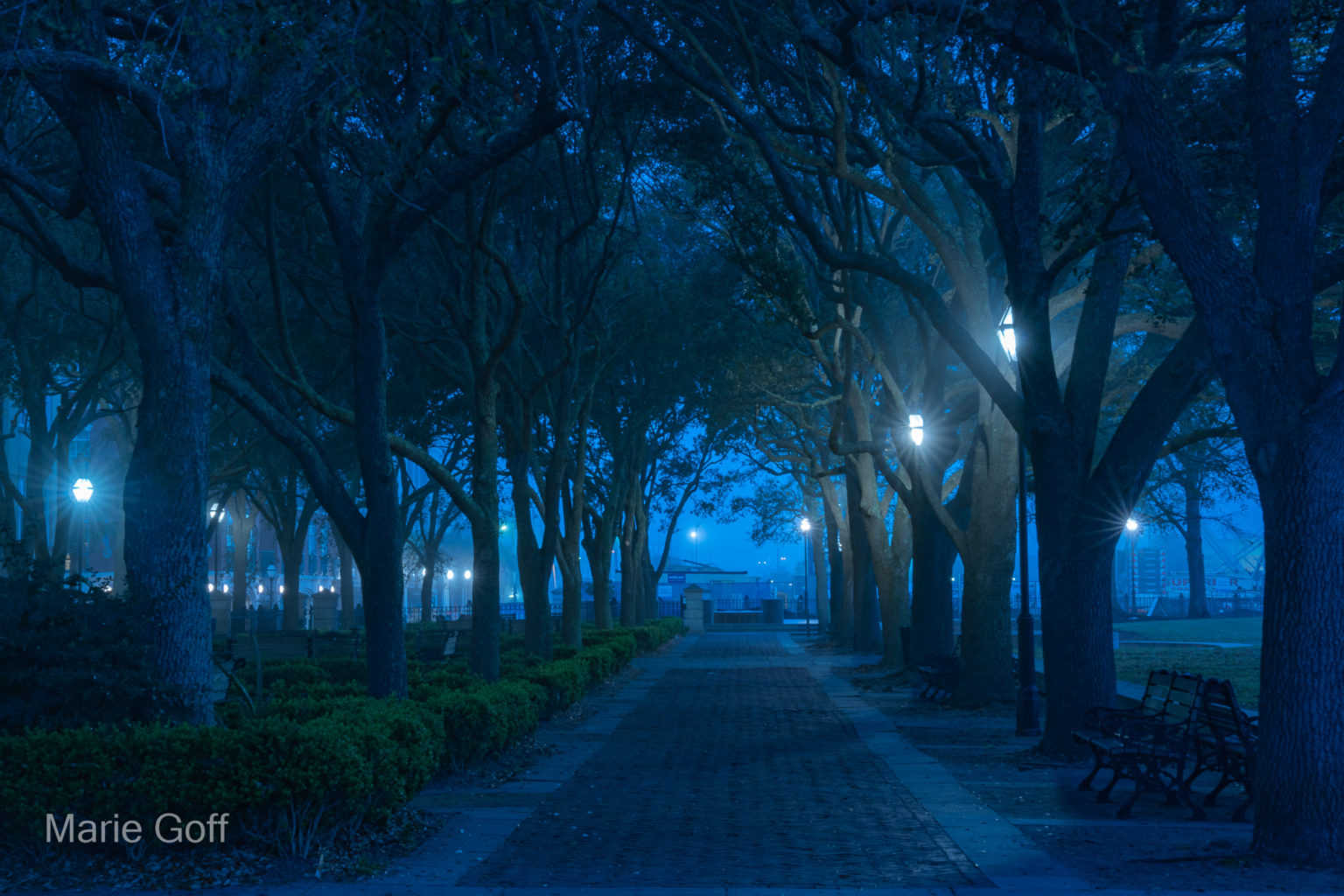 Charleston in the spring