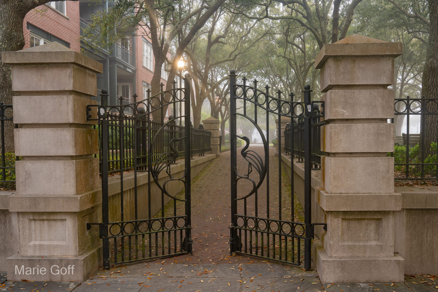 Charleston in the spring