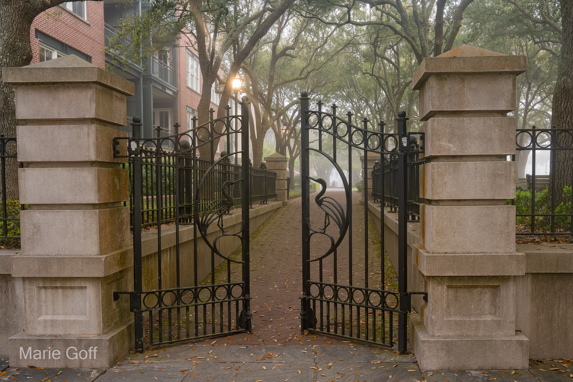Charleston in the Spring