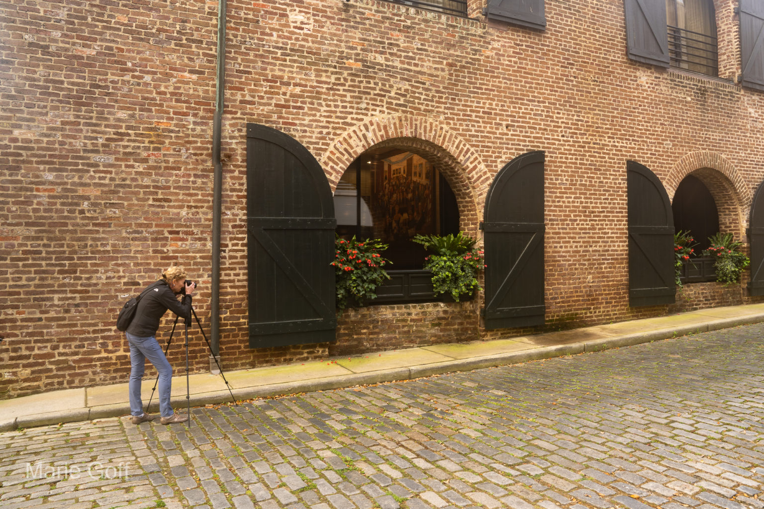 Charleston in the spring