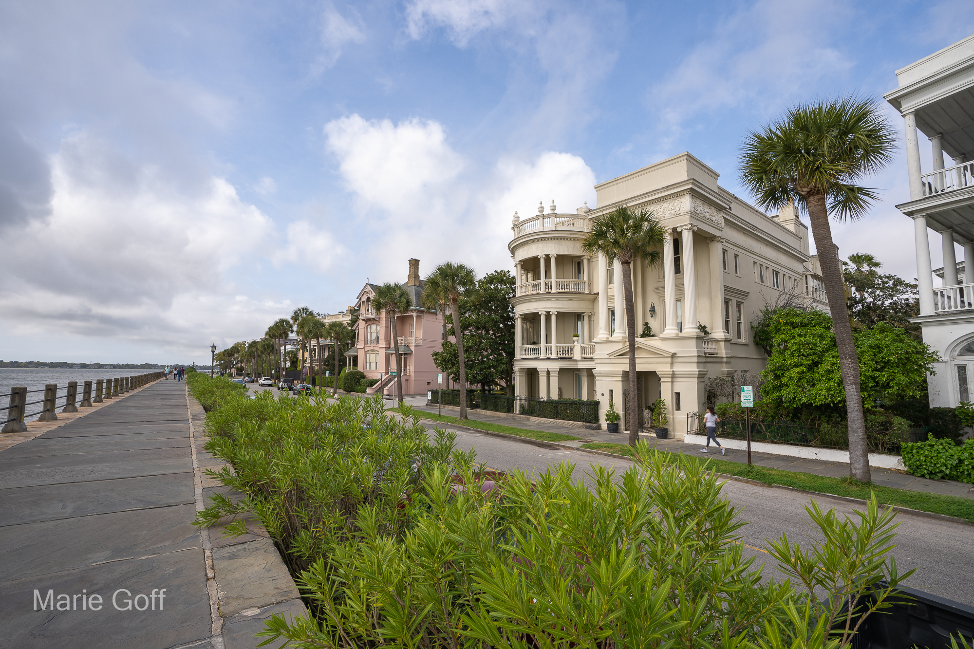 Charleston mansions 