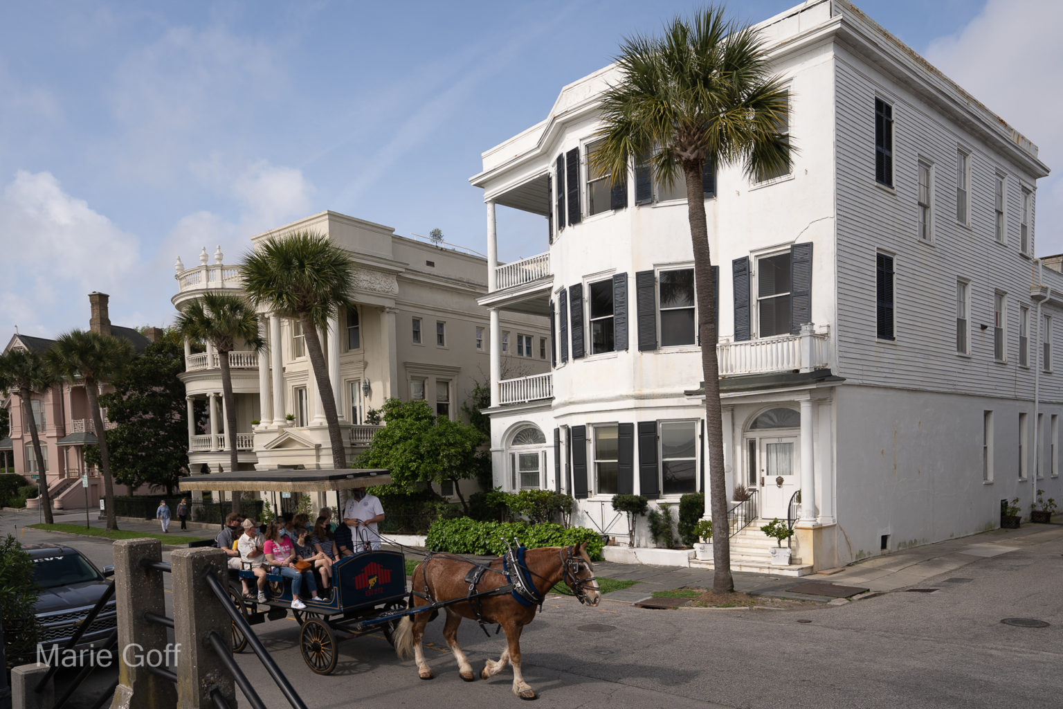 Charleston in the spring