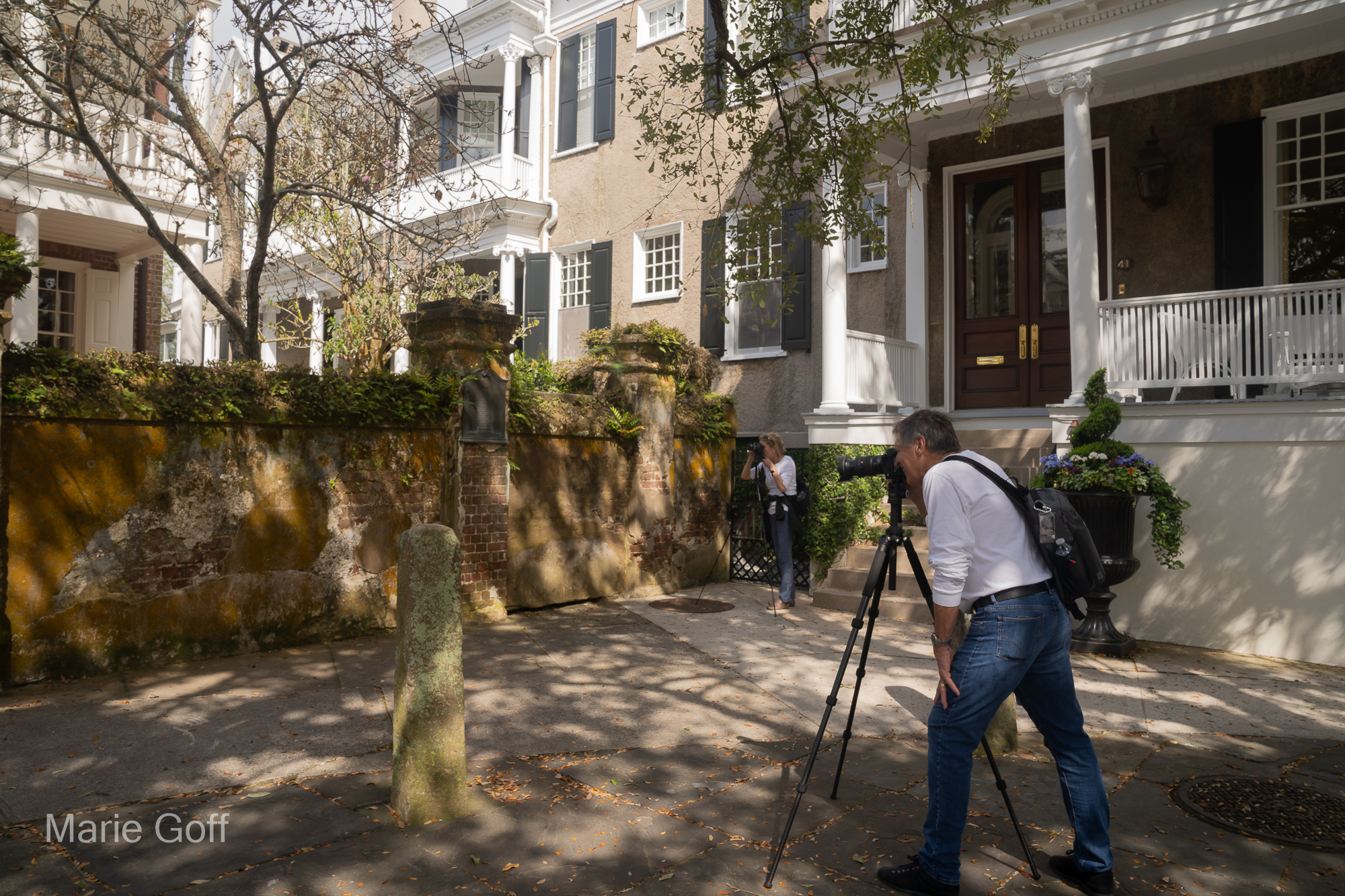 Charleston in the Spring