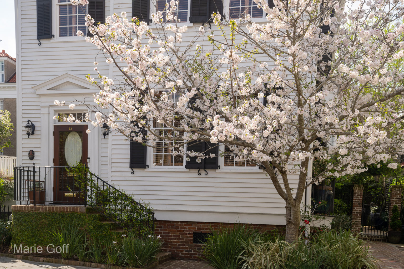 Charleston in the spring