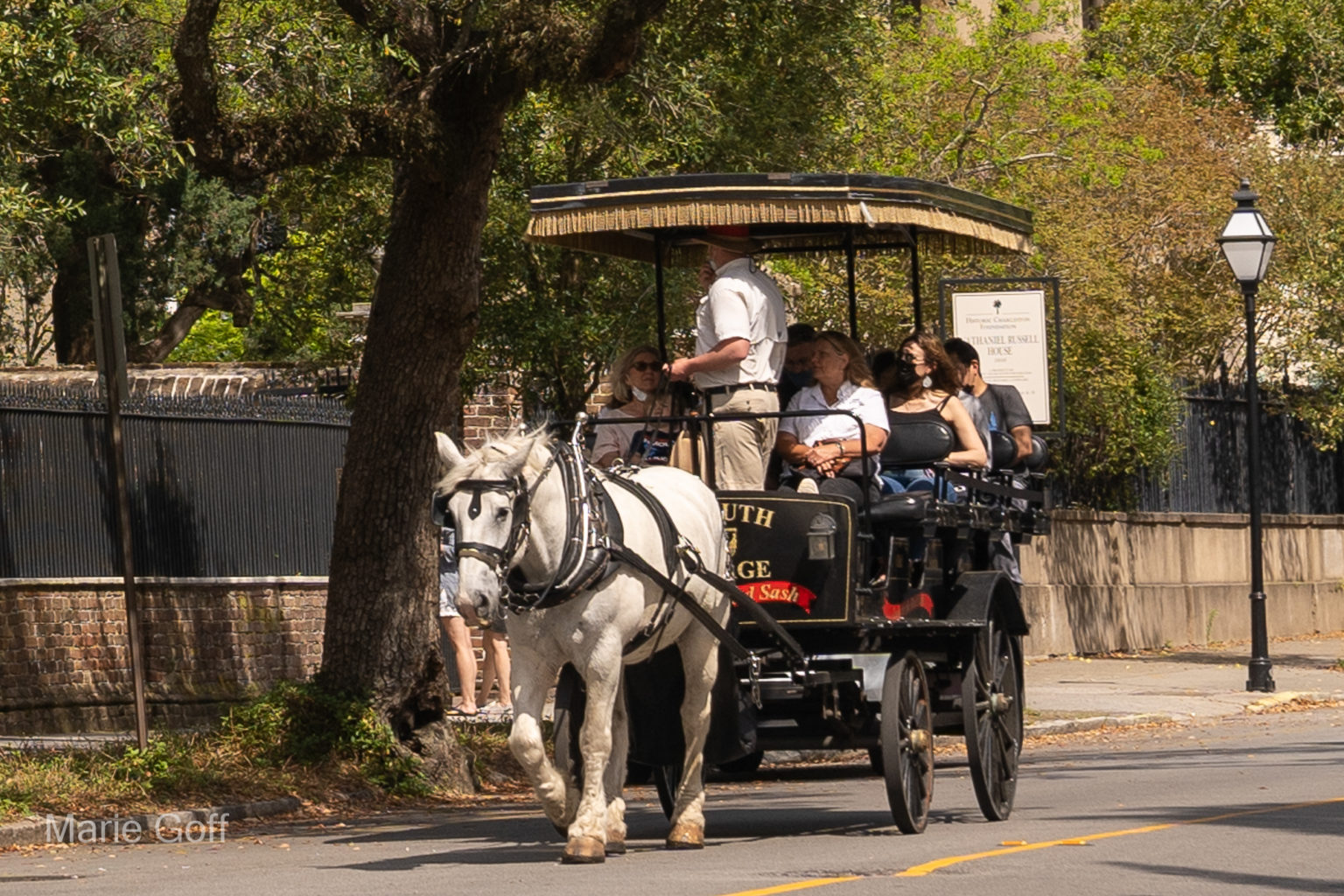 Charleston in the spring