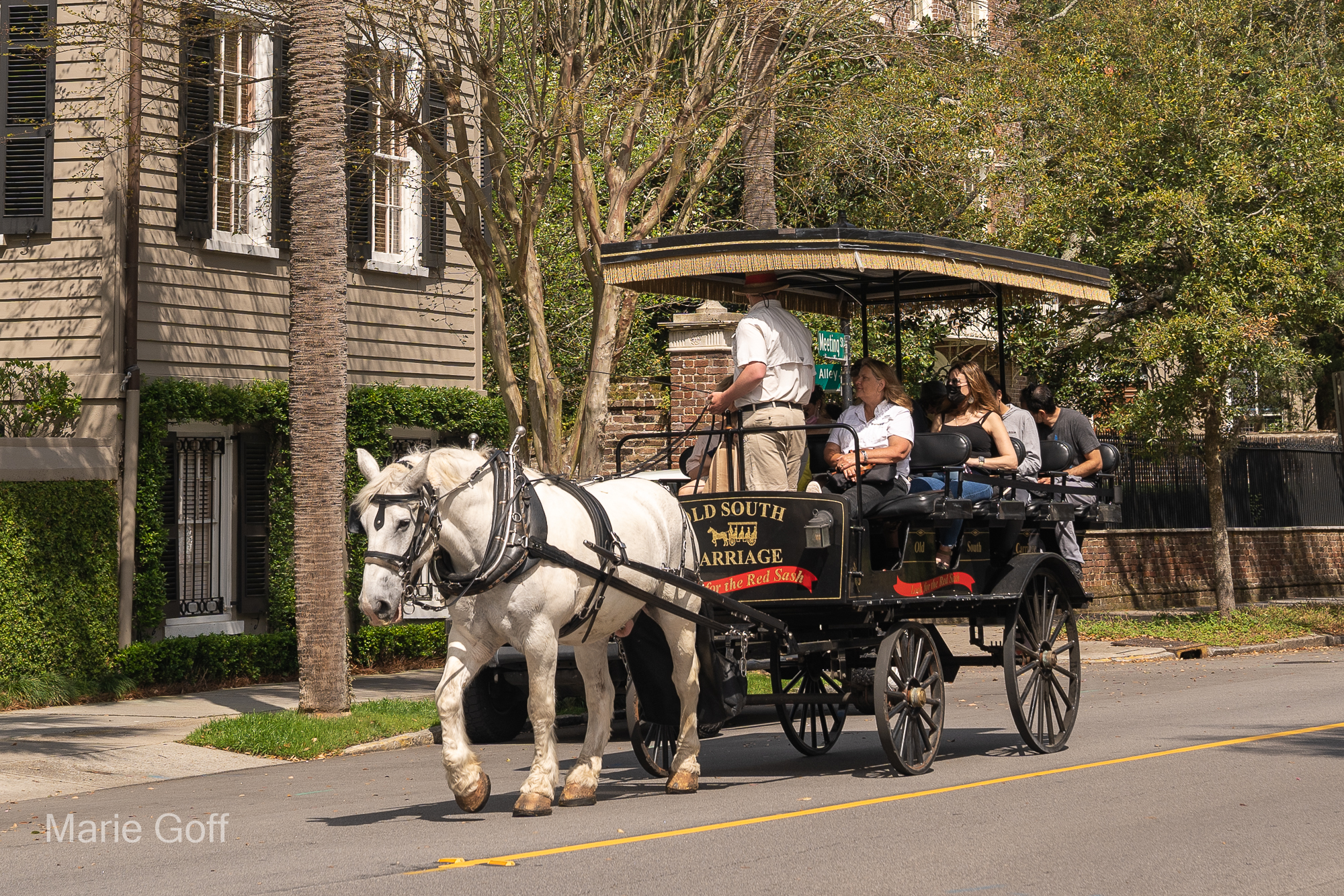 carriage ride