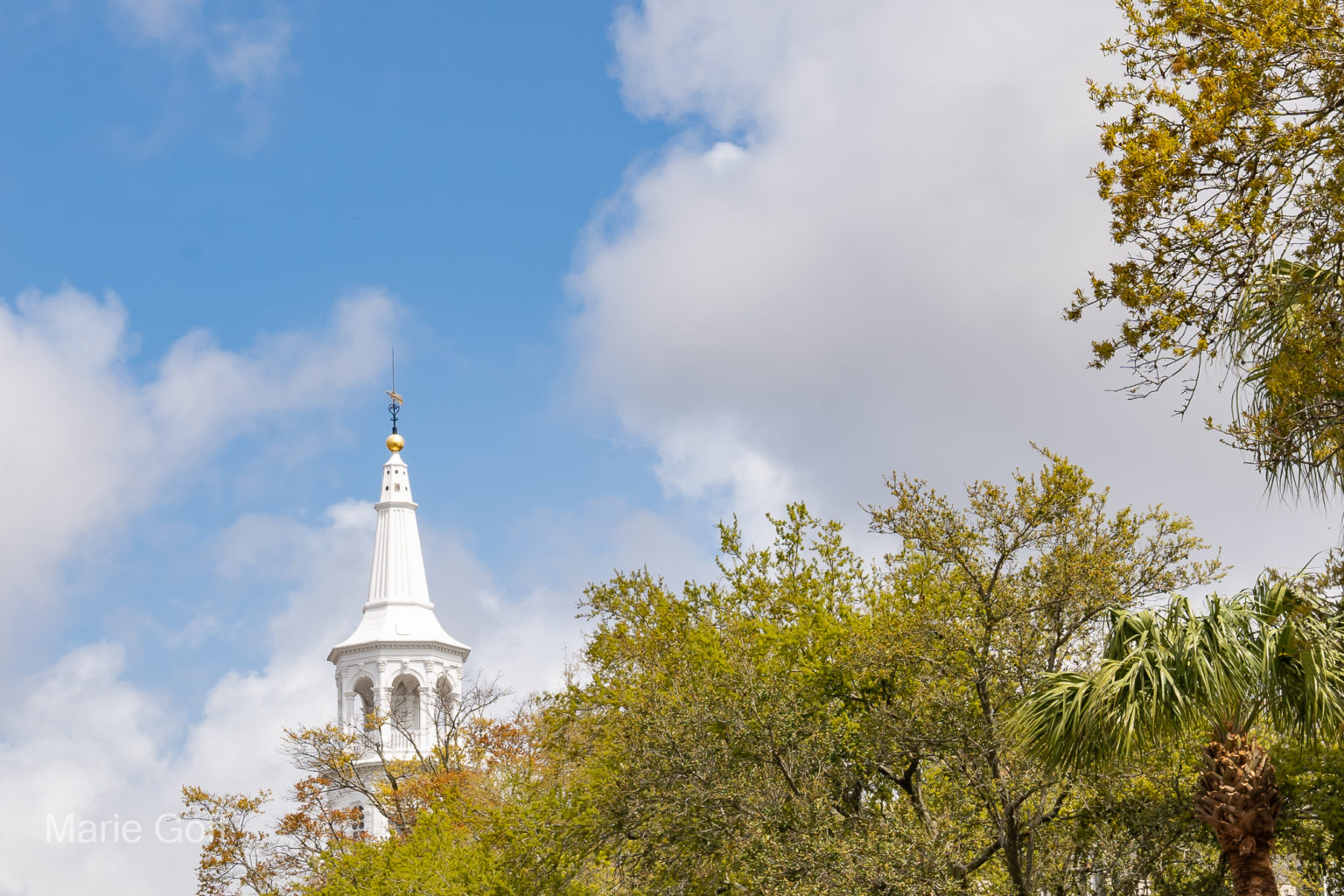 Charleston in the spring