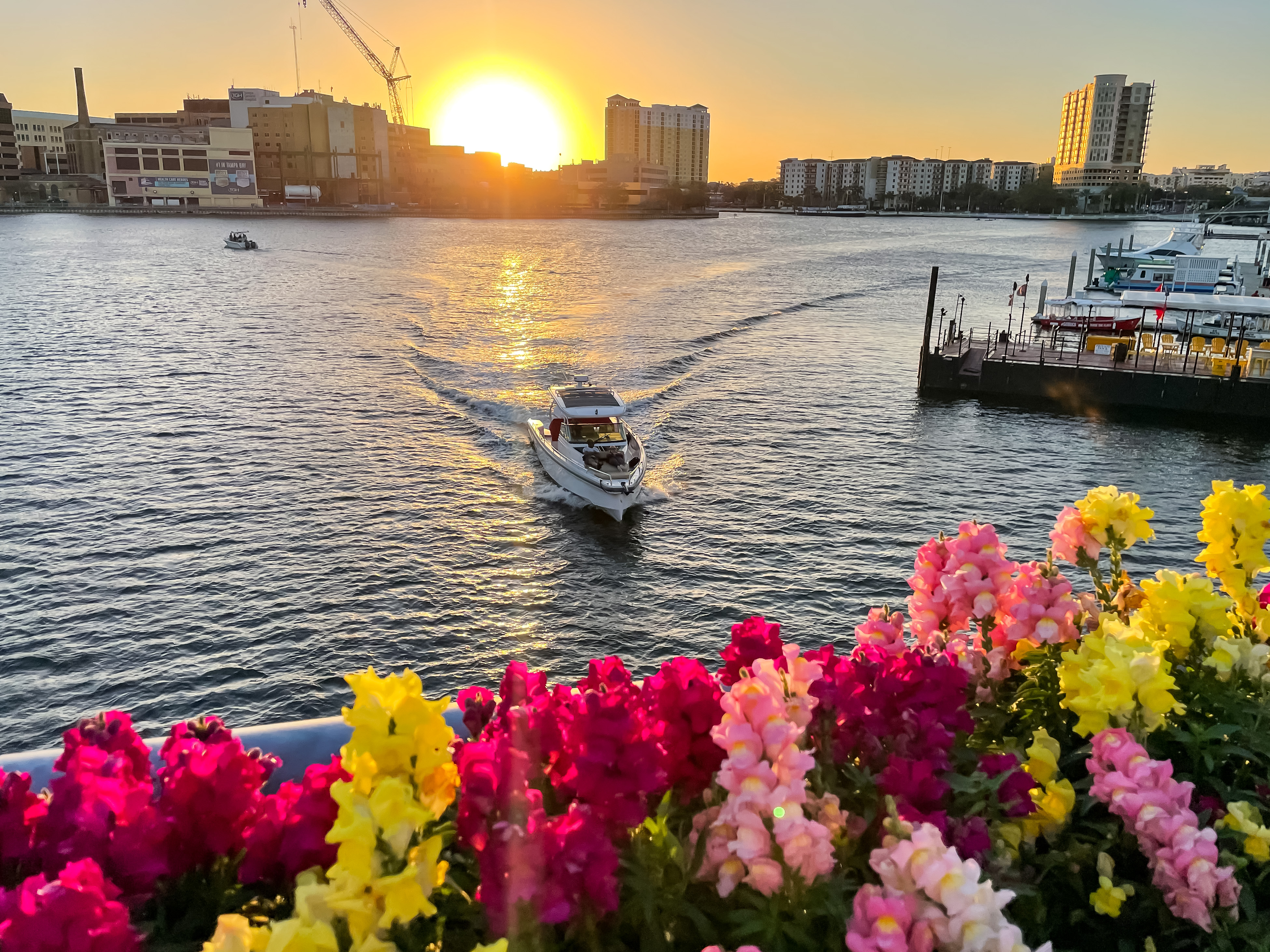 Enjoy Tampa Florida like a local