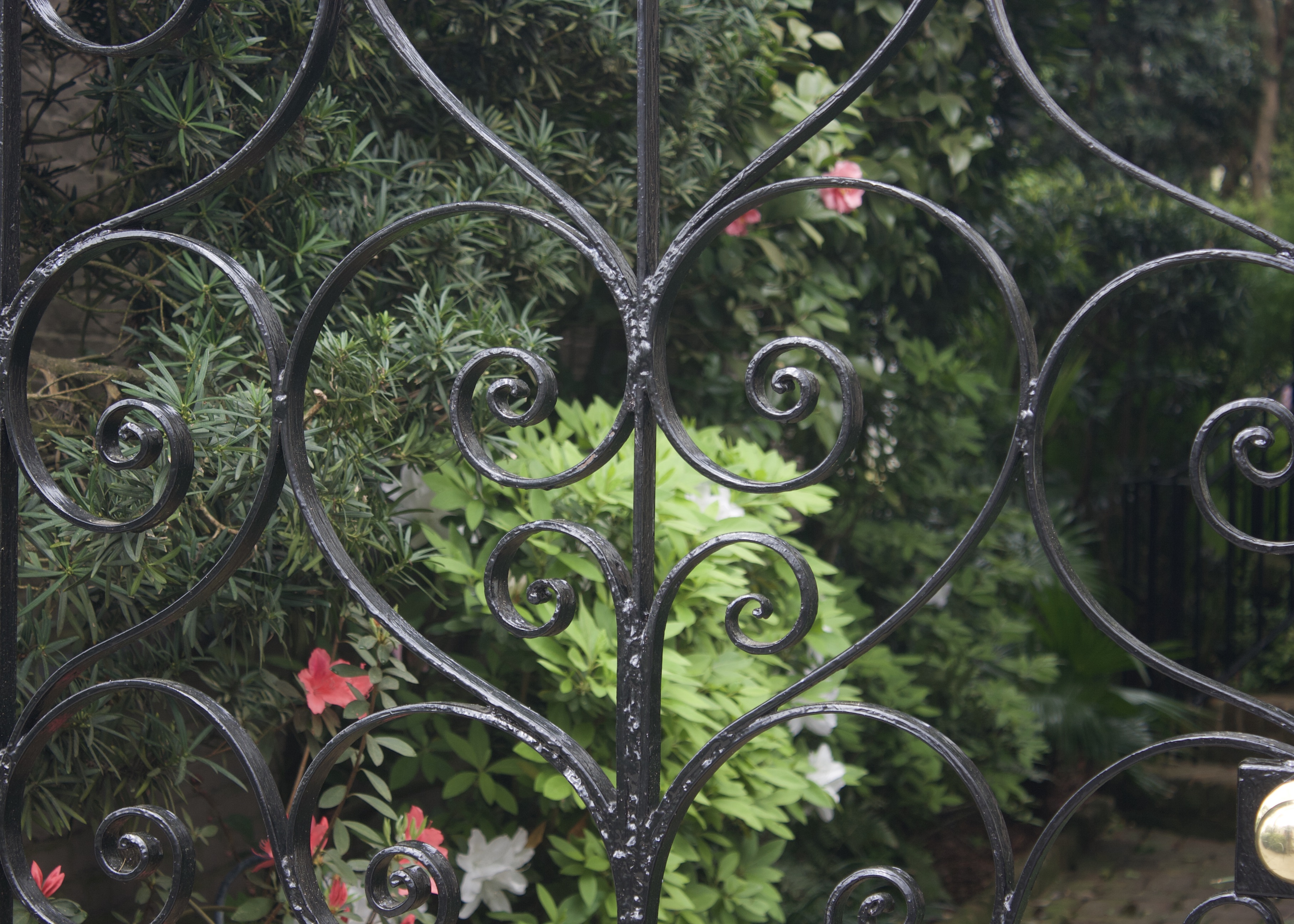 Wrought iron fense