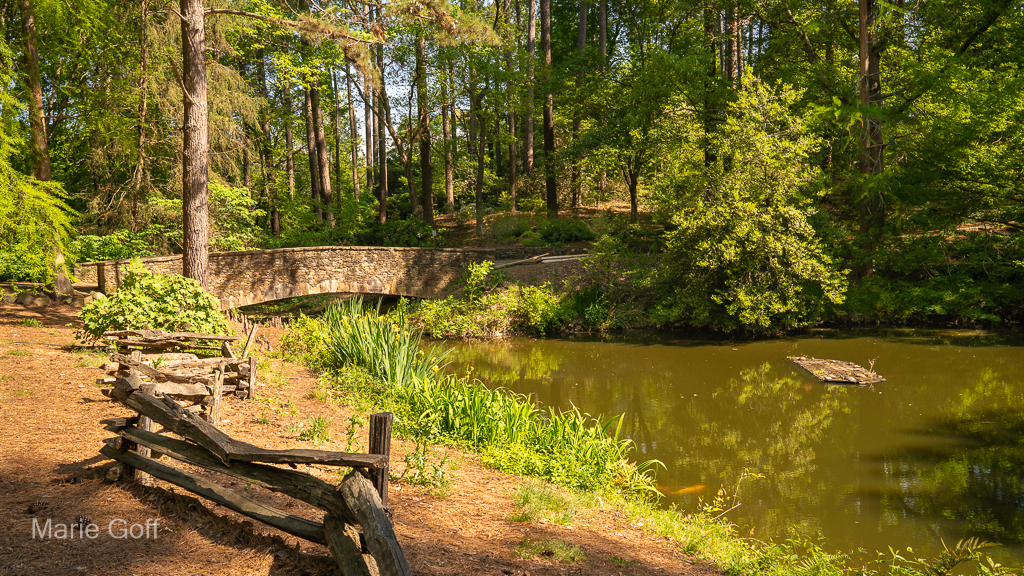 South Carolina Botanical Garden