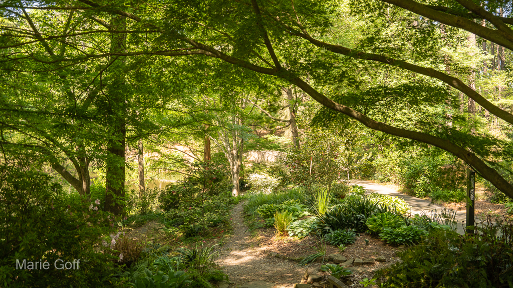 Natural Heritage Trail