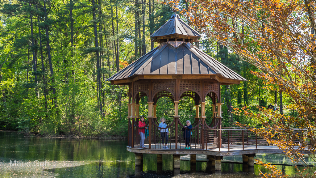 South Carolina Botanical Garden