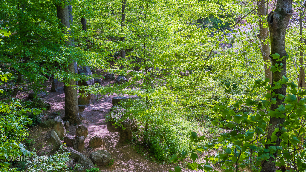 Natural Heritage Trail