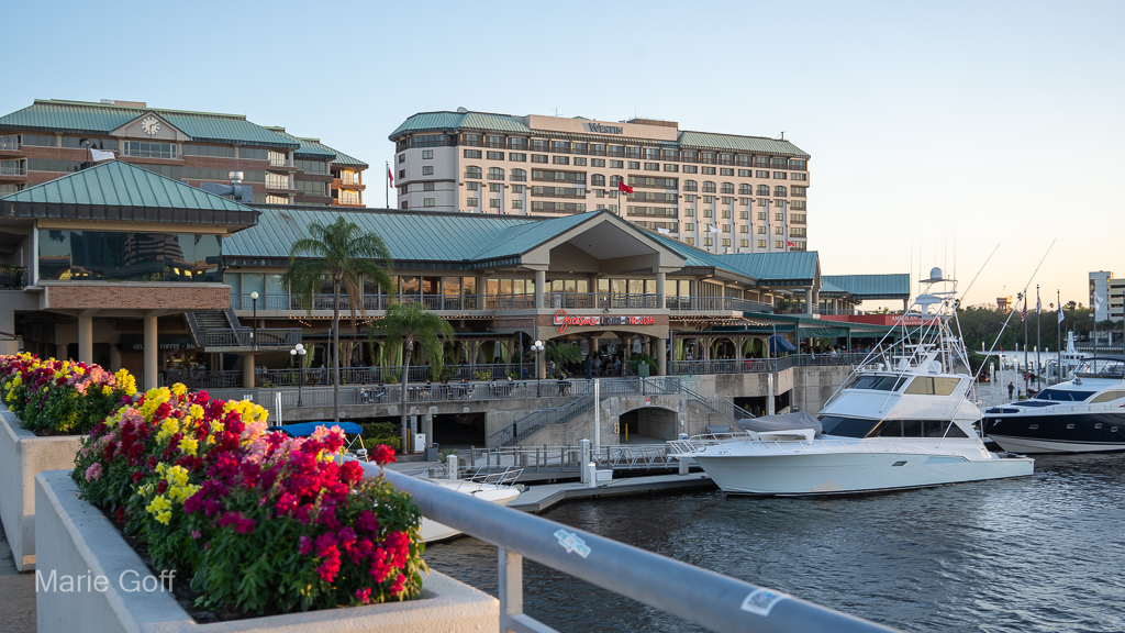 Tampa Florida