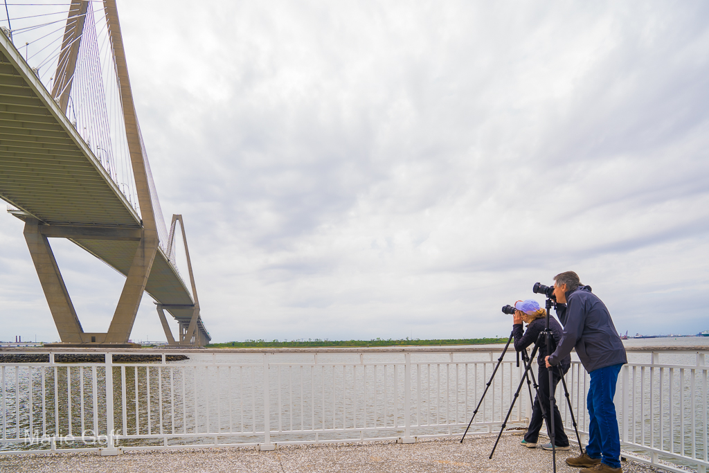 photographers at the bridge