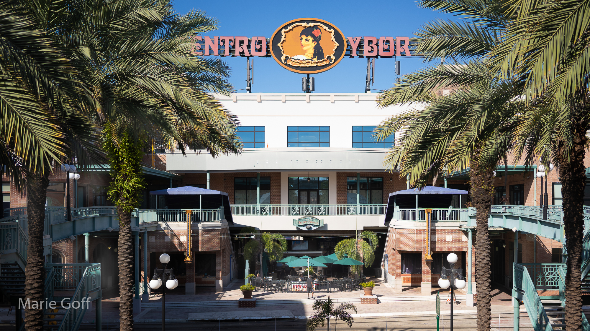 Enjoy Tampa Florida like a local