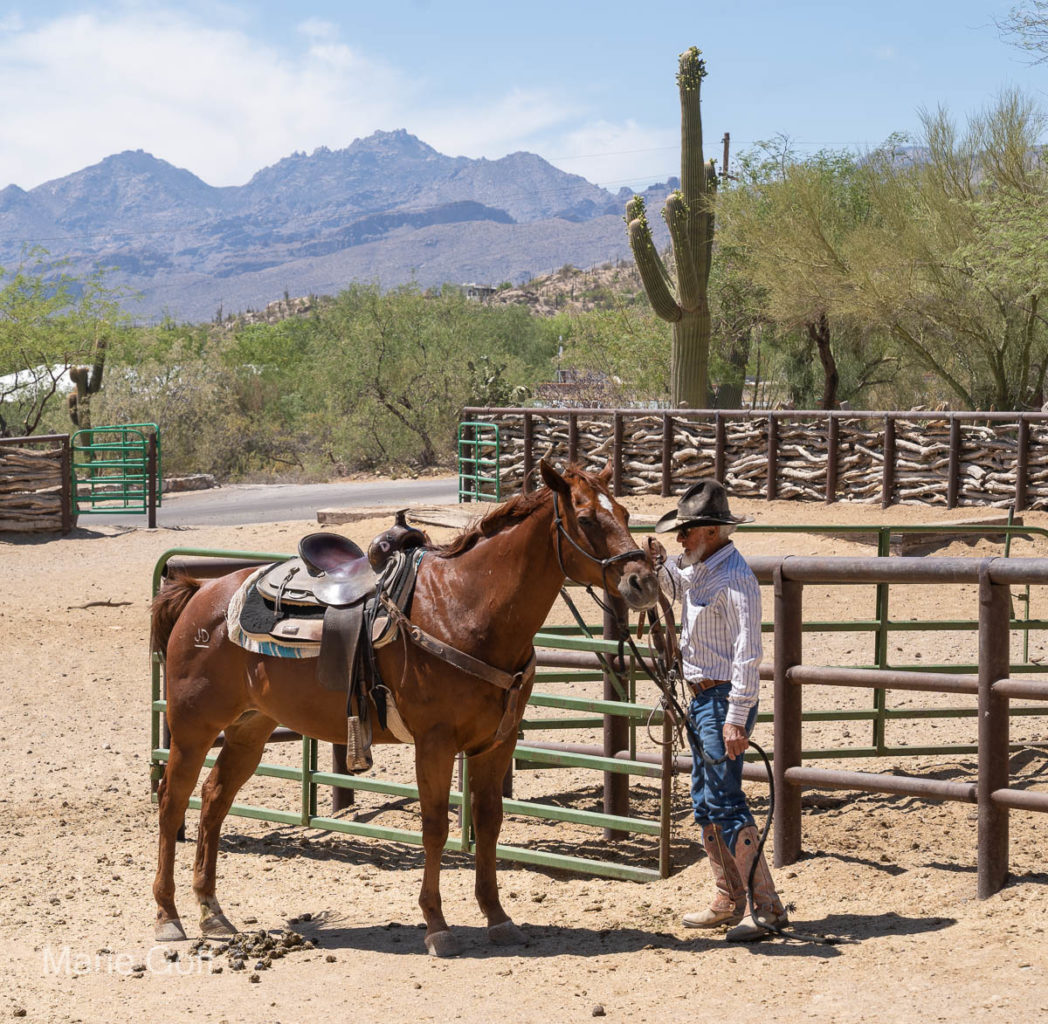 Tanque Verde Ranch Arizona