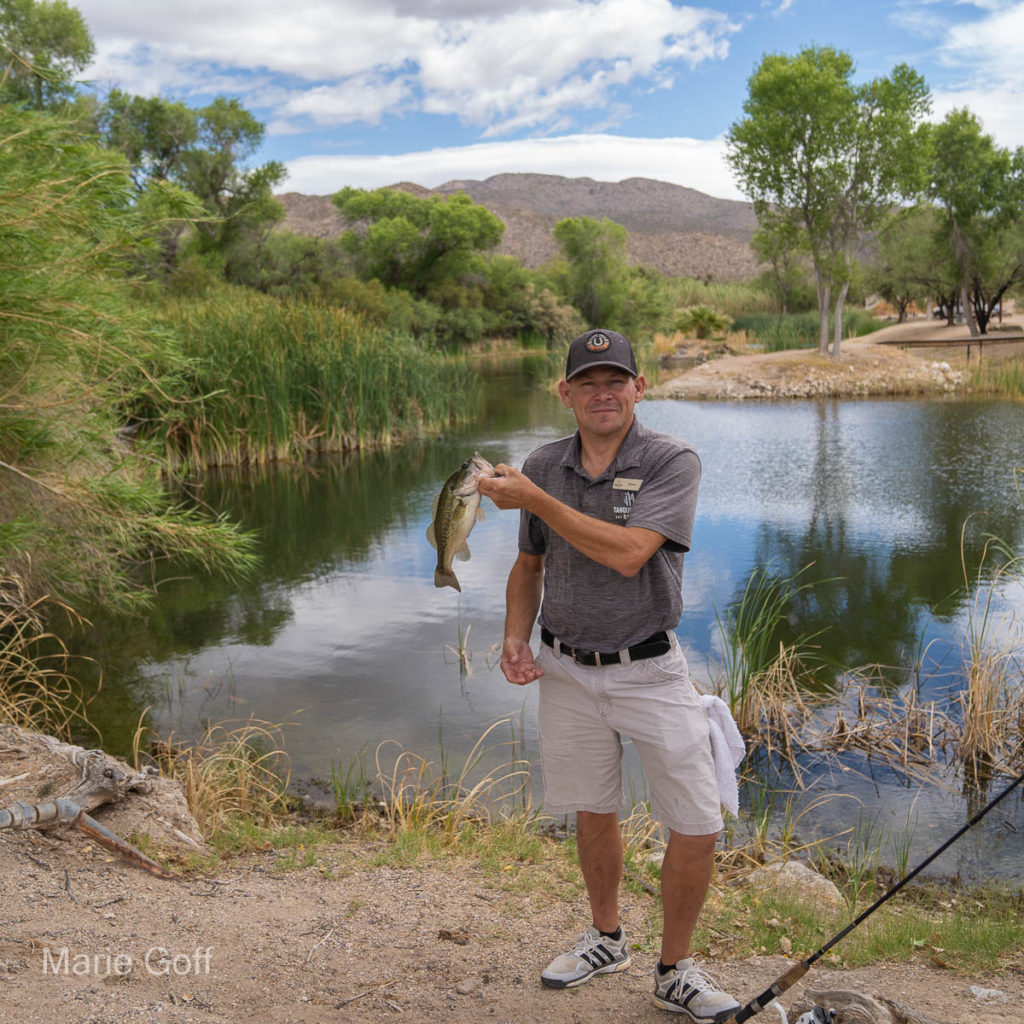 Tanque Verde Ranch Arizona