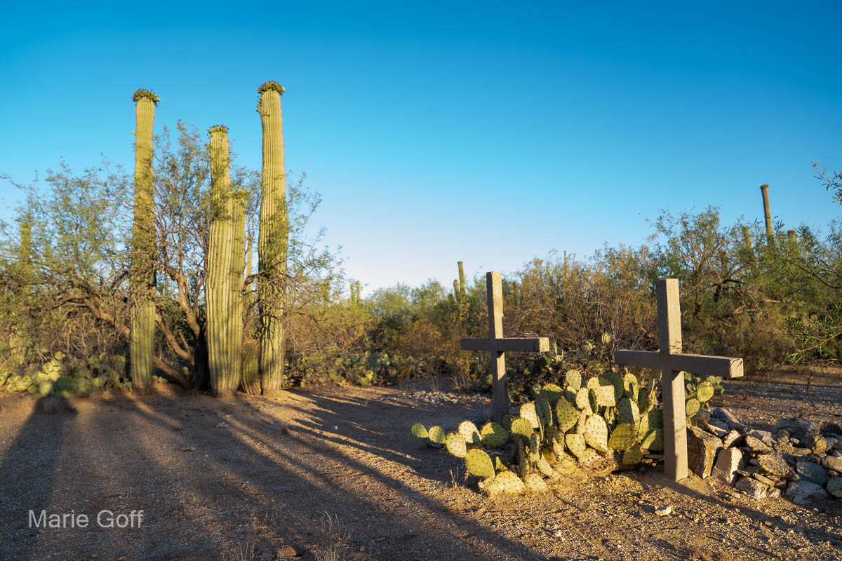 Tanque Verde Ranch Arizona
