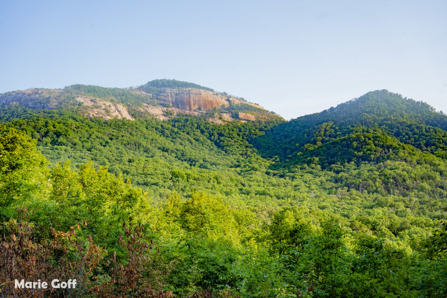 South Carolina Seven Expedition